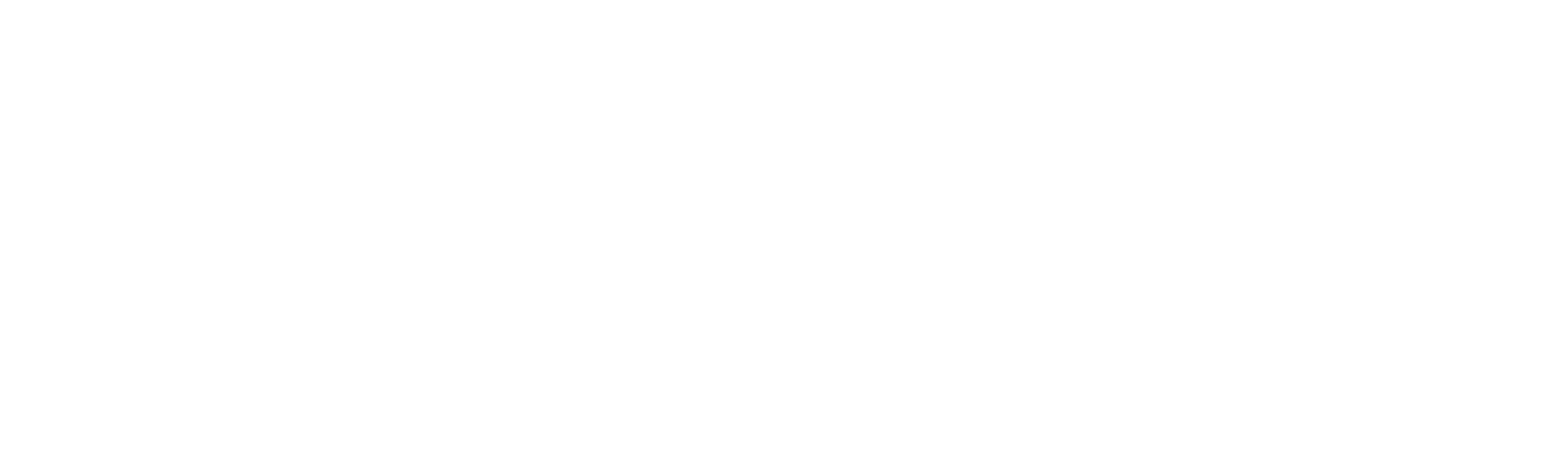 Dunnes Stores Logo
